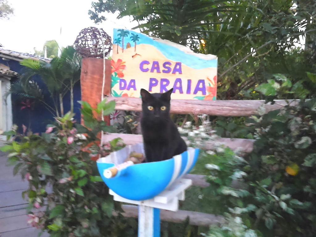 Pousada Casa Da Praia Itaunas ภายนอก รูปภาพ